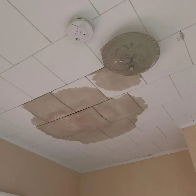 Ceiling Water Damage Repair in Oberlin, OH