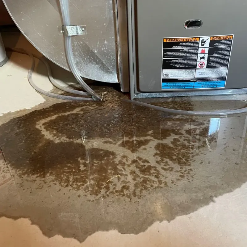 Pipe Burst and Leak Restoration in Oberlin, OH