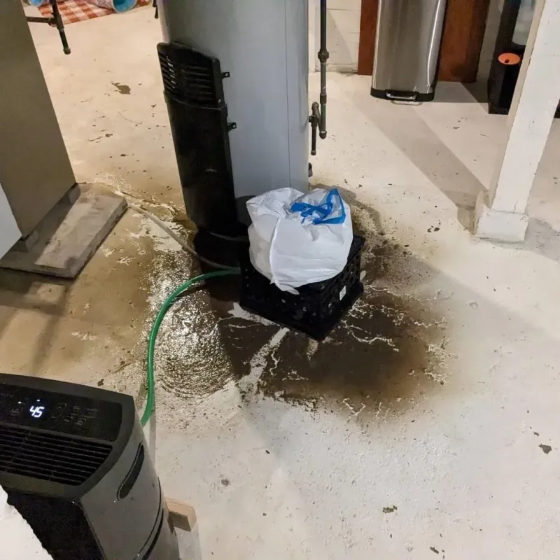 Sewage Backup Cleanup Service in Oberlin, OH